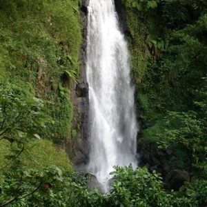 Meet your Posher, Glen